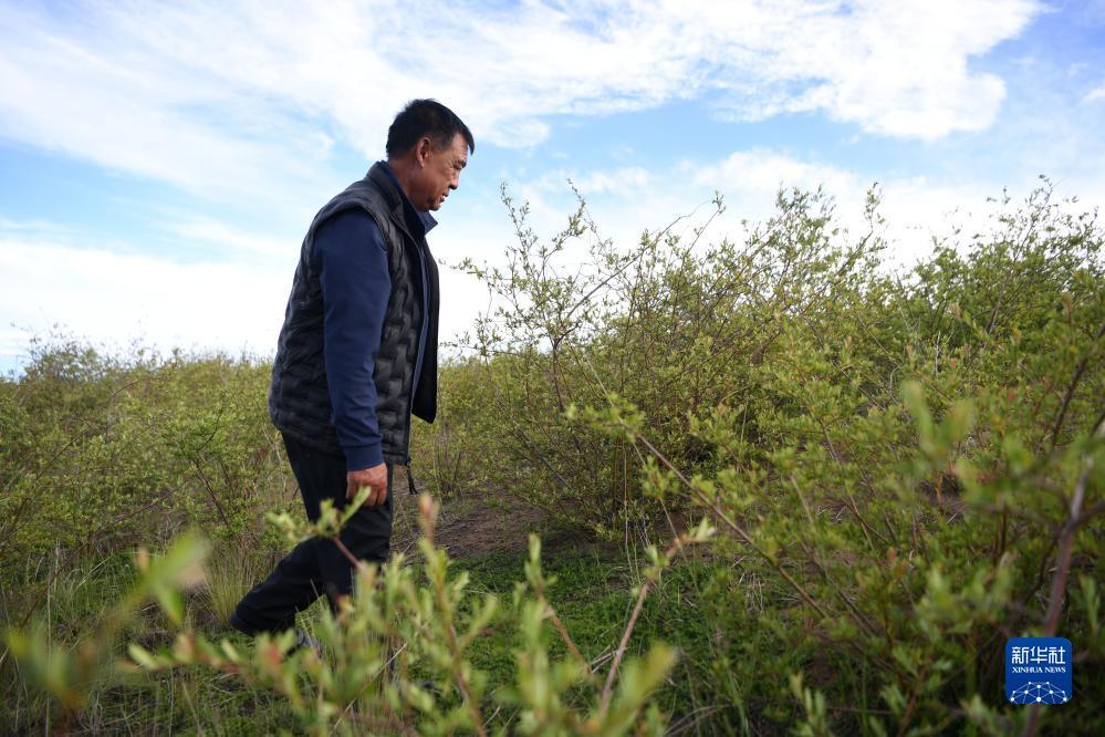 大奖888游戏下载